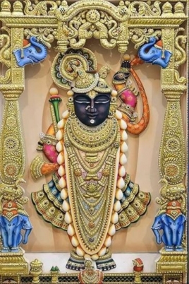 shri nathji of vallabhaya